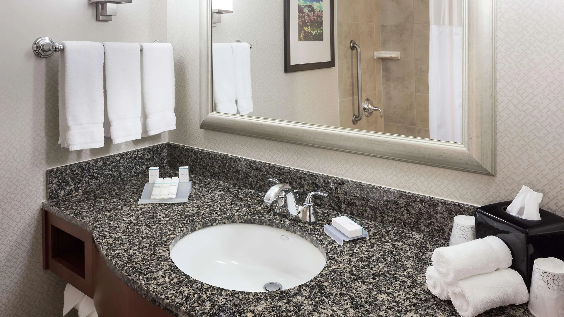 *** Hotel Hilton Garden Inn Denver Downtown Estados Unidos